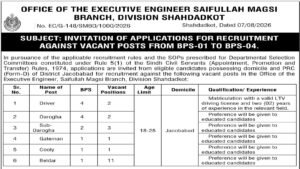 Entry level government job opportunity illustration Sindh
