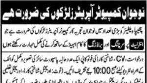 Computer operator and data entry career opportunity illustration