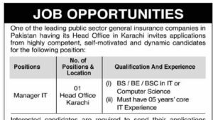 IT management and technology career opportunity illustration