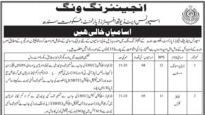 Sports and Youth Affairs Department Engineering Wing vacancy advertisement 2026