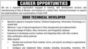 Odoo Technical Developer career opportunity advertisement Karachi 2026