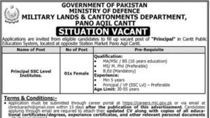 Cantt Public Education System Pano Aqil Principal vacancy advertisement 2026