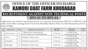 Kamori Goat Farm Khudabad, Dadu Non-Technical Staff Jobs 2026