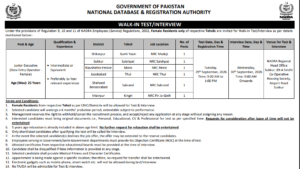 Female data entry government career opportunity illustration