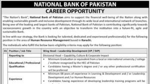 NBP Jobs 2026 — Wing Head Leadership Development (VP/SVP), Karachi
