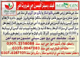 Sindhi ad showing field and sales officer requirements with contact numbers for Agrogin Group