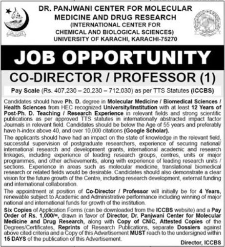 ICCBS Dr. Panjwani Center job ad for one Co-Director / Professor post with pay scale Rs. 407,230 to 712,030
